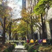 ヒメ日記 2025/11/19 08:20 投稿 みおり エレガンス(広島)