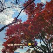 ヒメ日記 2025/11/21 12:18 投稿 みおり エレガンス(広島)