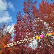 ヒメ日記 2025/11/23 08:48 投稿 みおり エレガンス(広島)