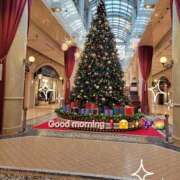 ヒメ日記 2025/11/24 08:48 投稿 みおり エレガンス(広島)