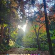 ヒメ日記 2025/12/01 08:08 投稿 みおり エレガンス(広島)