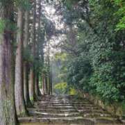 ヒメ日記 2025/12/02 08:18 投稿 みおり エレガンス(広島)