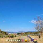 ヒメ日記 2025/12/03 07:48 投稿 みおり エレガンス(広島)