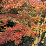 ヒメ日記 2025/12/04 07:48 投稿 みおり エレガンス(広島)