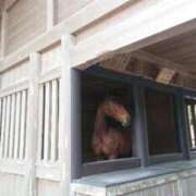 ヒメ日記 2025/12/05 08:18 投稿 みおり エレガンス(広島)