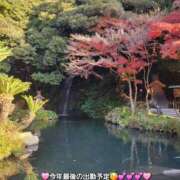 みおり ◎今年最後の出勤予定◎ エレガンス(広島)