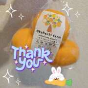 ヒメ日記 2025/12/19 08:08 投稿 みおり エレガンス(広島)