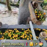 ヒメ日記 2026/01/10 08:48 投稿 みおり エレガンス(広島)