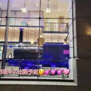 ヒメ日記 2026/02/17 08:18 投稿 みおり エレガンス(広島)