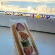 ヒメ日記 2026/02/17 14:00 投稿 みおり エレガンス(広島)