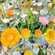 ヒメ日記 2026/03/11 14:32 投稿 みおり エレガンス(広島)
