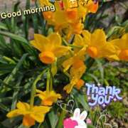 ヒメ日記 2026/03/31 07:08 投稿 みおり エレガンス(広島)