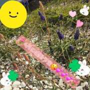 ヒメ日記 2026/04/02 12:18 投稿 みおり エレガンス(広島)