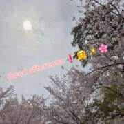ヒメ日記 2026/04/06 12:18 投稿 みおり エレガンス(広島)
