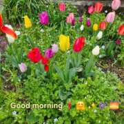 ヒメ日記 2026/04/07 09:48 投稿 みおり エレガンス(広島)