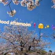 ヒメ日記 2026/04/07 12:08 投稿 みおり エレガンス(広島)