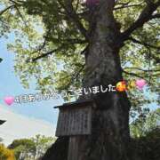 ヒメ日記 2026/05/01 09:18 投稿 みおり エレガンス(広島)