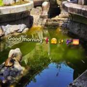 ヒメ日記 2026/05/09 08:50 投稿 みおり エレガンス(広島)