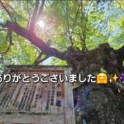 ヒメ日記 2026/06/08 09:10 投稿 みおり エレガンス(広島)