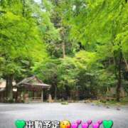 ヒメ日記 2026/06/11 10:28 投稿 みおり エレガンス(広島)