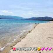 ヒメ日記 2026/06/19 12:58 投稿 みおり エレガンス(広島)