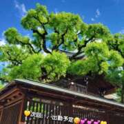 ヒメ日記 2026/08/26 12:24 投稿 みおり エレガンス(広島)