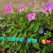 ヒメ日記 2026/08/31 16:18 投稿 みおり エレガンス(広島)