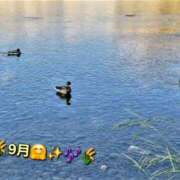 ヒメ日記 2026/09/01 19:28 投稿 みおり エレガンス(広島)