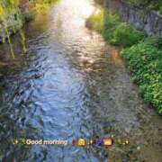 ヒメ日記 2026/09/10 08:20 投稿 みおり エレガンス(広島)