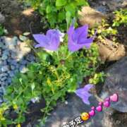 ヒメ日記 2026/09/10 10:18 投稿 みおり エレガンス(広島)
