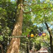 ヒメ日記 2026/09/28 10:18 投稿 みおり エレガンス(広島)
