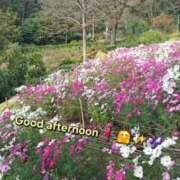 ヒメ日記 2026/10/05 12:08 投稿 みおり エレガンス(広島)