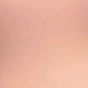 川口もも 探してみてね 若奥サマンサ（横浜ハレ系）