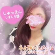 ヒメ日記 2024/12/08 13:45 投稿 神宮寺 優奈 30代40代50代と遊ぶなら博多人妻専科24時