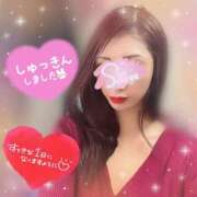 ヒメ日記 2024/12/11 13:45 投稿 神宮寺 優奈 30代40代50代と遊ぶなら博多人妻専科24時