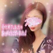 ヒメ日記 2025/03/26 02:15 投稿 神宮寺 優奈 30代40代50代と遊ぶなら博多人妻専科24時