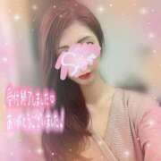 ヒメ日記 2025/03/27 02:15 投稿 神宮寺 優奈 30代40代50代と遊ぶなら博多人妻専科24時