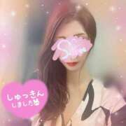 ヒメ日記 2025/03/27 13:45 投稿 神宮寺 優奈 30代40代50代と遊ぶなら博多人妻専科24時