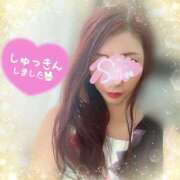 ヒメ日記 2025/04/10 13:45 投稿 神宮寺 優奈 30代40代50代と遊ぶなら博多人妻専科24時