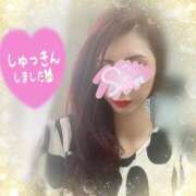 ヒメ日記 2025/04/23 13:45 投稿 神宮寺 優奈 30代40代50代と遊ぶなら博多人妻専科24時