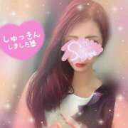 ヒメ日記 2025/04/28 13:45 投稿 神宮寺 優奈 30代40代50代と遊ぶなら博多人妻専科24時