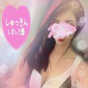 ヒメ日記 2025/04/29 13:45 投稿 神宮寺 優奈 30代40代50代と遊ぶなら博多人妻専科24時