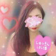 ヒメ日記 2025/05/06 13:45 投稿 神宮寺 優奈 30代40代50代と遊ぶなら博多人妻専科24時