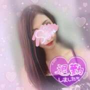 ヒメ日記 2025/07/06 02:15 投稿 神宮寺 優奈 30代40代50代と遊ぶなら博多人妻専科24時