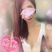 ヒメ日記 2025/10/17 15:45 投稿 神宮寺 優奈 30代40代50代と遊ぶなら博多人妻専科24時