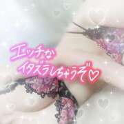 ヒメ日記 2026/01/31 02:49 投稿 神宮寺 優奈 30代40代50代と遊ぶなら博多人妻専科24時