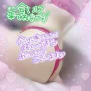 ヒメ日記 2026/02/10 01:47 投稿 神宮寺 優奈 30代40代50代と遊ぶなら博多人妻専科24時