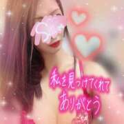 ヒメ日記 2026/02/20 04:04 投稿 神宮寺 優奈 30代40代50代と遊ぶなら博多人妻専科24時