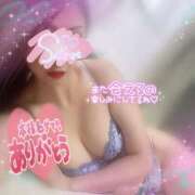 ヒメ日記 2026/02/28 01:23 投稿 神宮寺 優奈 30代40代50代と遊ぶなら博多人妻専科24時