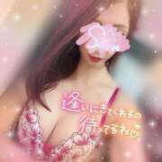 ヒメ日記 2026/04/06 10:34 投稿 神宮寺 優奈 30代40代50代と遊ぶなら博多人妻専科24時